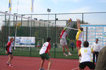 IMG 8310